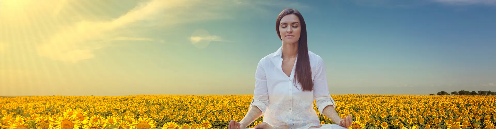 Bundle: Simpósio do Solstício de Verão - Online Course by Learn It Live